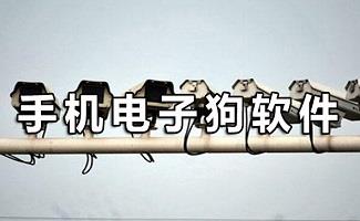 电子狗软件