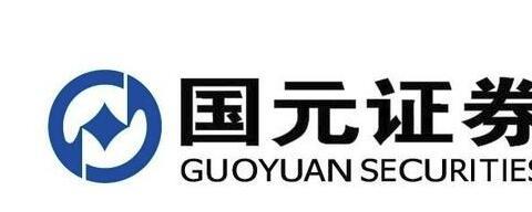 国元证券大全