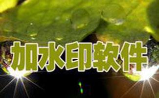 图片加水印工具