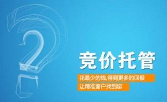 百度竞价软件