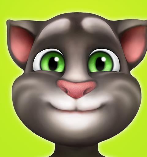 我的汤姆猫