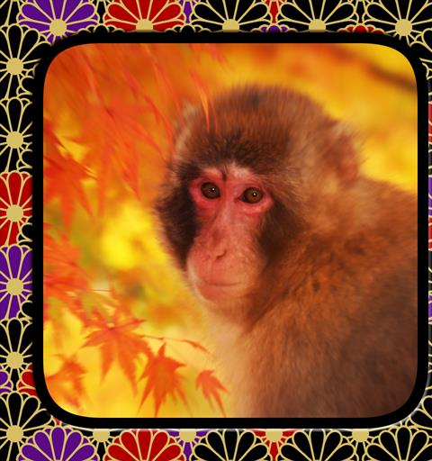 The Crab & the Monkey