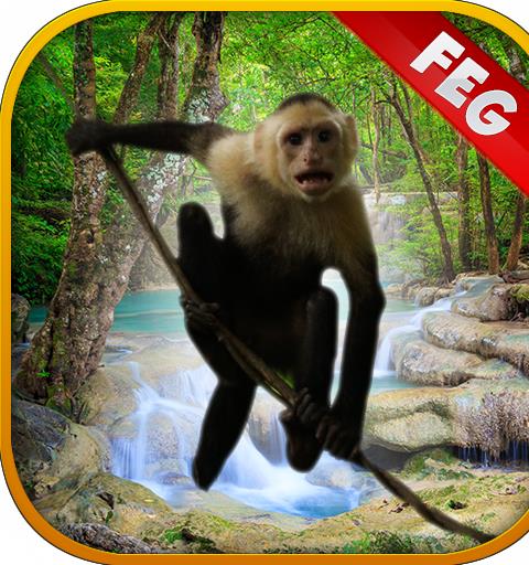 Escape Game Forest Survival