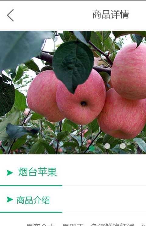麦秀农村伴侣手机版