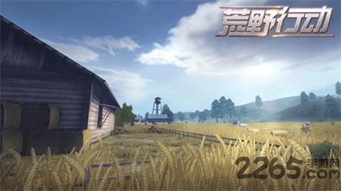 网游荒野行动大逃杀苹果版