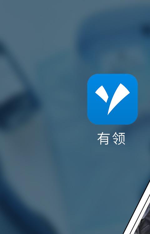 有领app