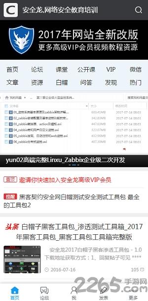 安全龙软件