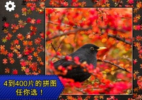 史诗拼图中文版