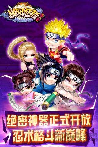 暴风忍者手游九游版