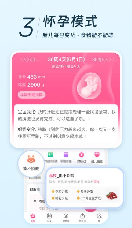 美柚苹果版