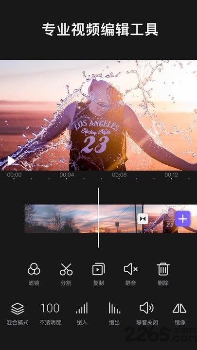 videoleap ios版