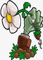 植物大战僵尸mac中文版