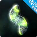 孢子的起源中文版