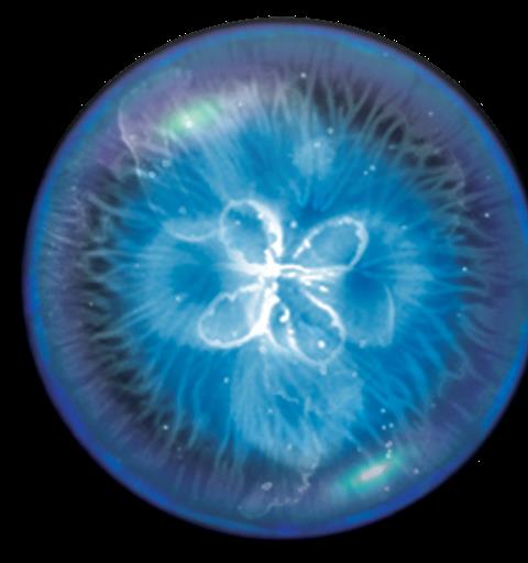 Osmos HD