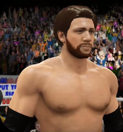 Fight WWE Action
