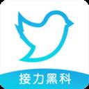 飞鸟下载器app