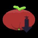 番茄小说下载器(Tomato Novel Downloader)