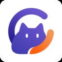 闪控猫