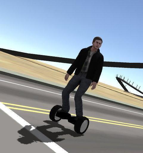 Hoverboard Segway Driving