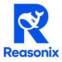 Reasonix mac中文版