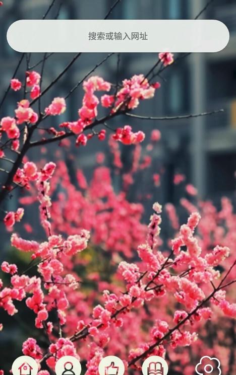 矿大浏览器app