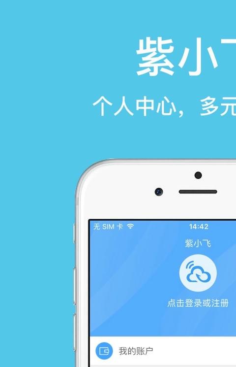 紫小飞上网卡
