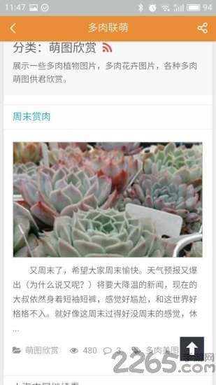 多肉联萌手机客户端