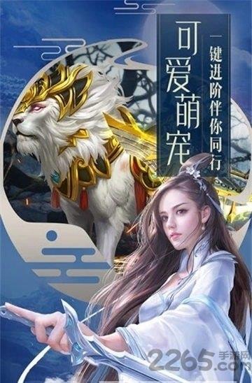 天影奇缘果盘版