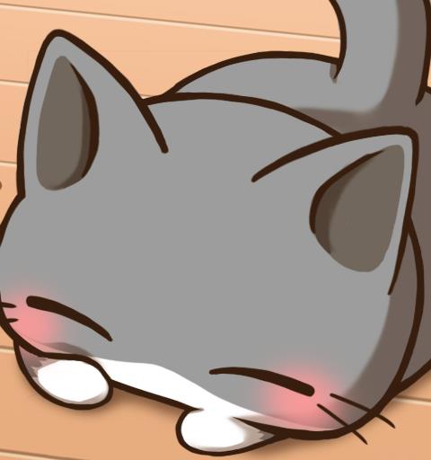 Cat Room