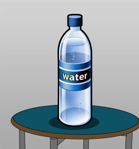 Water Bottle Flip Challenge