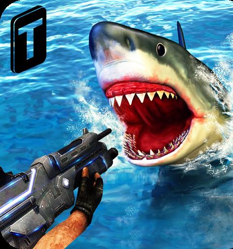 Shark Sniping 2016