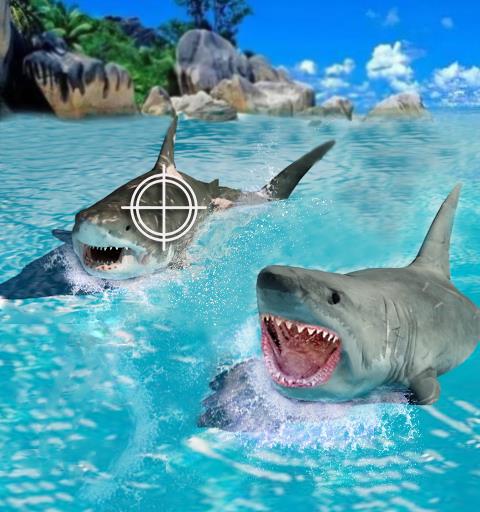 Shark Hunting Deep Dive 2