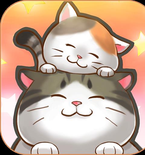 猫宅日记