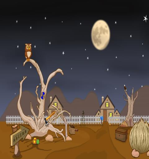 Desert Owl Rescue