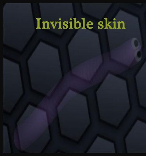 Skin for slither.io invisible