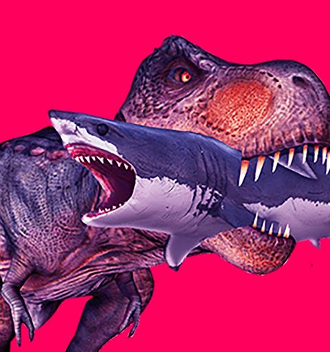 Miami Rex