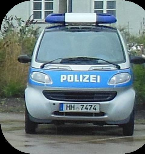 Police Car Chase Offroad