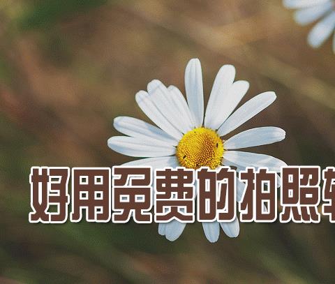 拍照最好的手机app排行榜前十