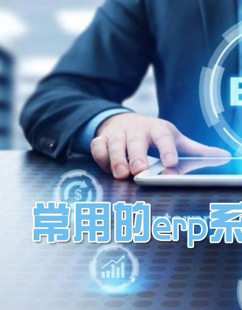 最专业的erp管理软件推荐