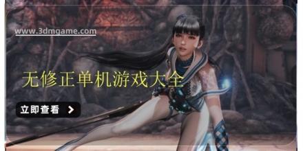 无修正单机游戏大全