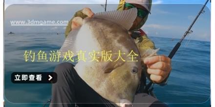 钓鱼游戏真实版大全