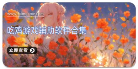 吃鸡游戏辅助软件合集