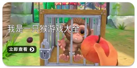 我是一只猴游戏大全