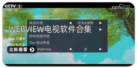 webview电视软件合集
