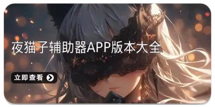 夜猫子辅助器app版本大全