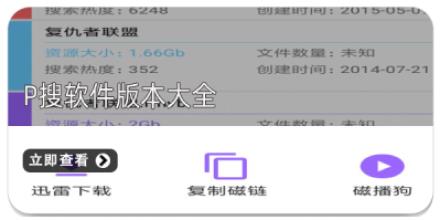 P搜软件版本大全