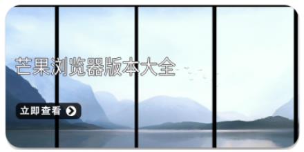芒果浏览器版本大全