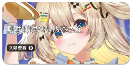 嘶哩嘶哩app版本大全