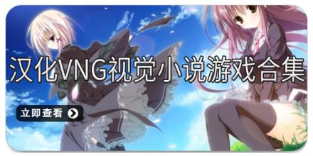 汉化VNG视觉小说游戏合集