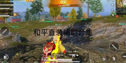 和平直装辅助软件合集
